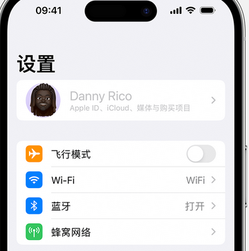 乡城appleID维修服务iPhone设置中Apple ID显示为灰色无法使用 