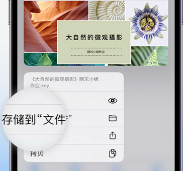 乡城apple维修中心分享iPhone文件应用中存储和找到下载文件