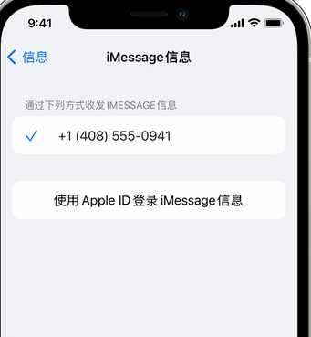 乡城apple维修iPhone上无法正常发送iMessage信息