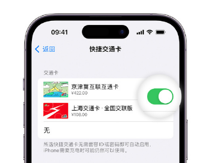 乡城apple维修点分享iPhone上更换Apple Pay快捷交通卡手绘卡面 