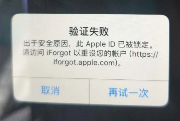 乡城iPhone维修分享iPhone上正常登录或使用AppleID怎么办 