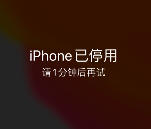 乡城苹果手机维修分享:iPhone 显示“不可用”或“已停用”怎么办？还能保留数据吗？ 