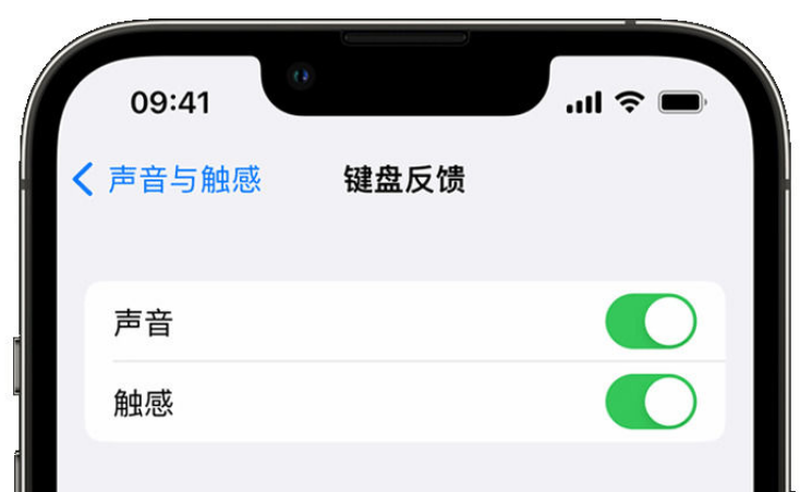 乡城苹果手机维修分享iPhone 14触感键盘使用方法 