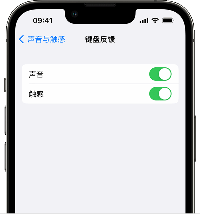 乡城苹果14维修店分享如何在 iPhone 14 机型中使用触感键盘 