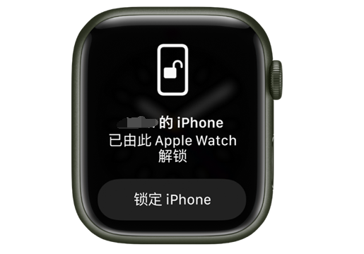 乡城苹果手机维修分享用 AppleWatch 解锁配备面容 ID 的 iPhone方法 