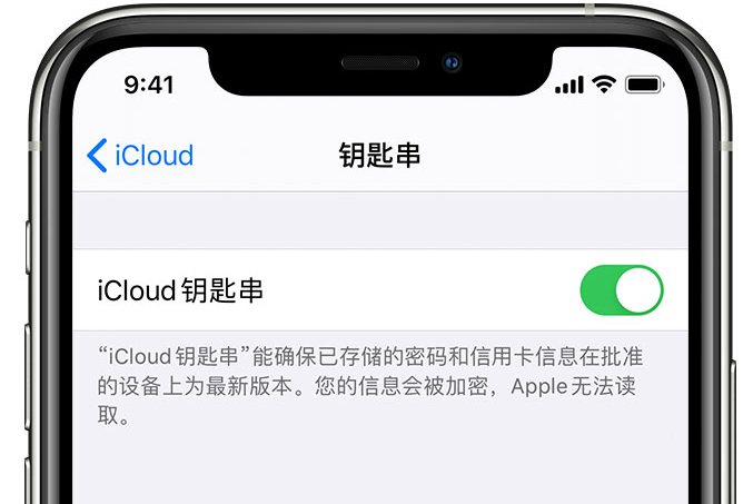 乡城苹果手机维修分享在 iPhone 上开启 iCloud 钥匙串之后会储存哪些信息 