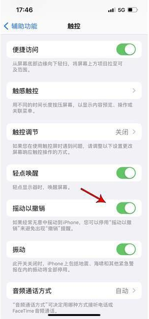 乡城苹果手机维修分享iPhone手机如何设置摇一摇删除文字 