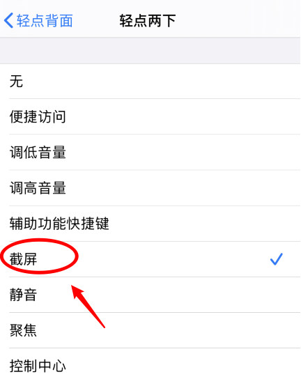 乡城苹果手机维修分享iPhone12如何启用双击截屏 
